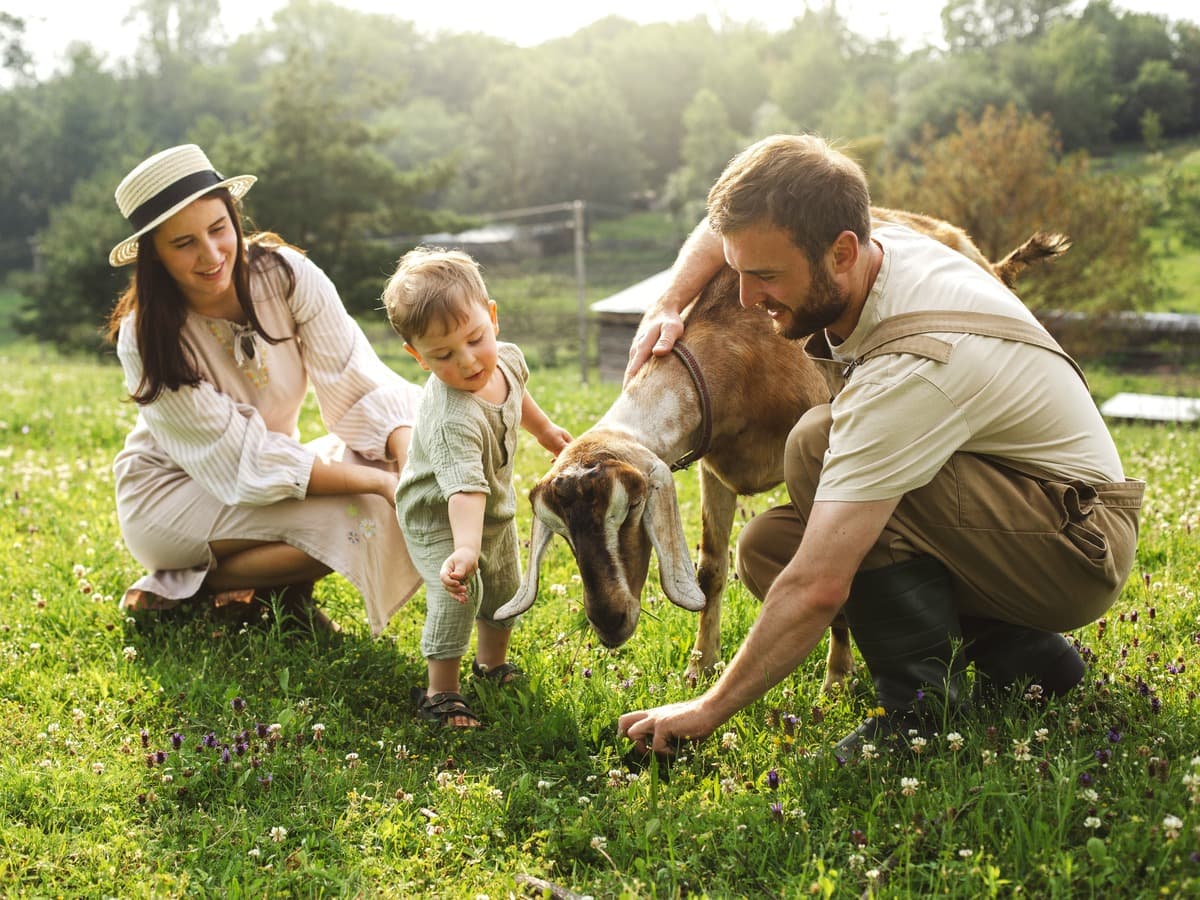 Hinweis zur Sprache und Barrierefreiheit auf Landwirt.ai