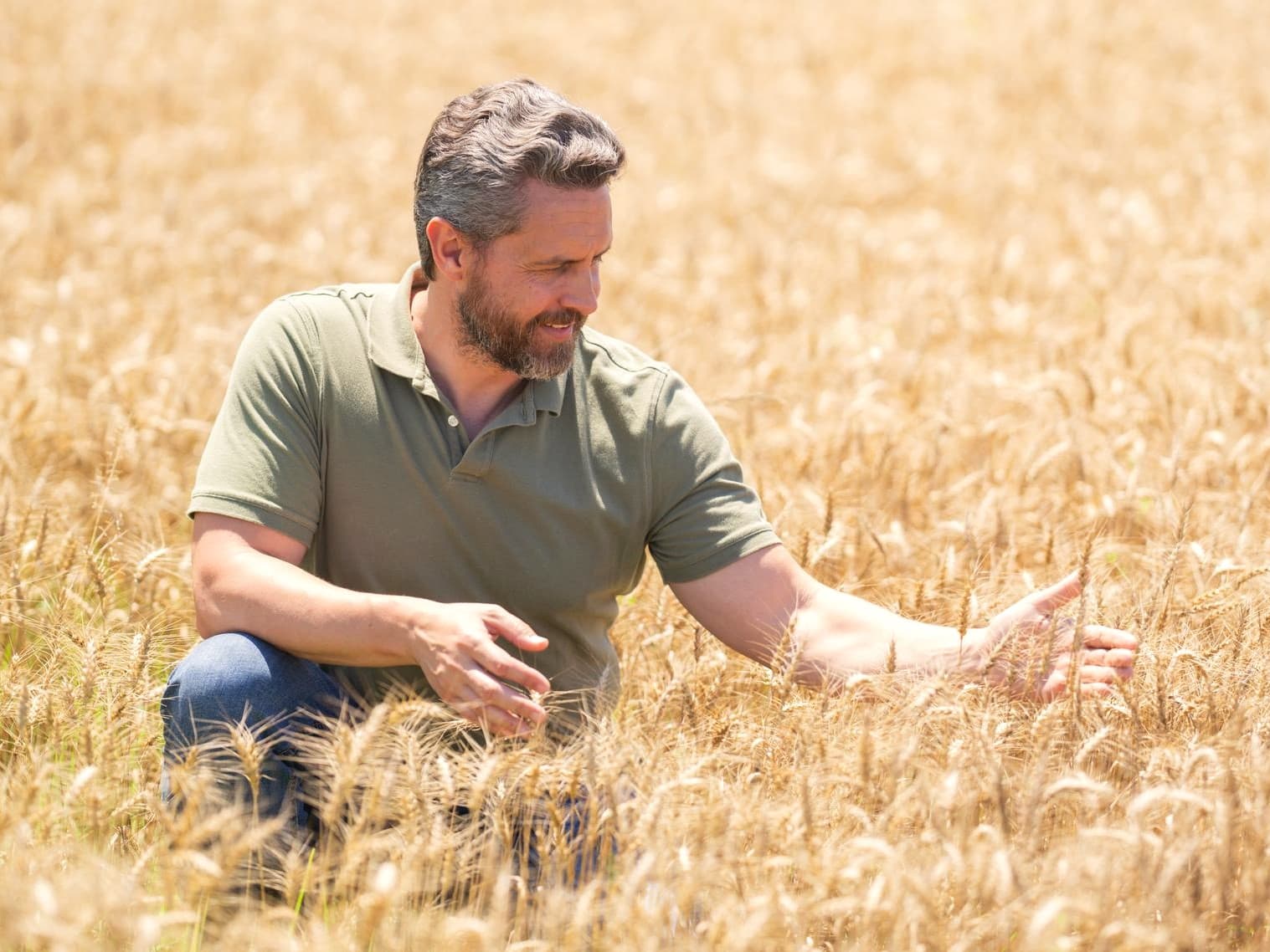 Unsere Werte – Landwirt.ai steht fuer Naturschutz, Tierwohl und Fortschritt